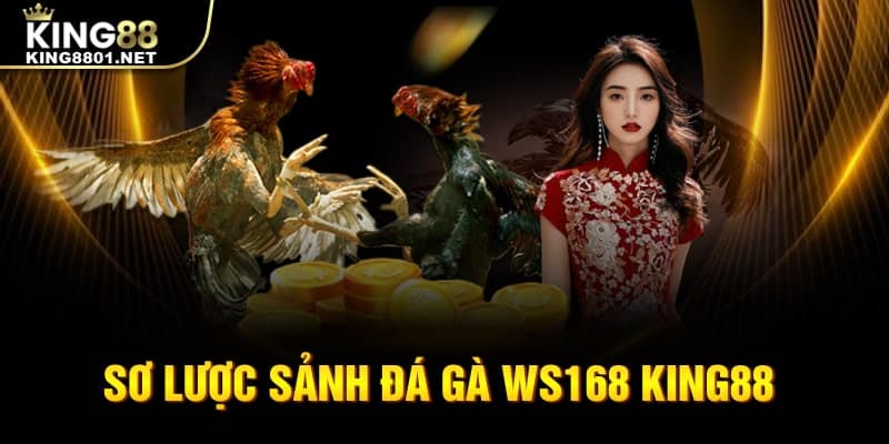 Sơ lược sảnh Đá gà WS168 king88