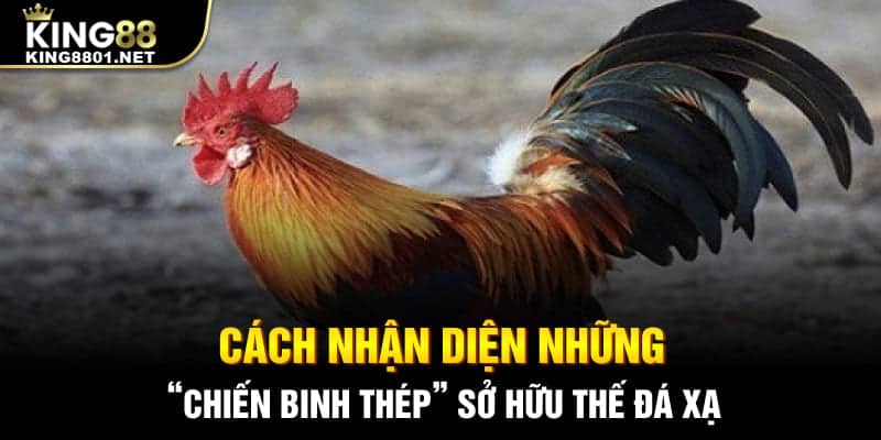Cách nhận diện những “chiến binh thép” sở hữu thế đá xạ